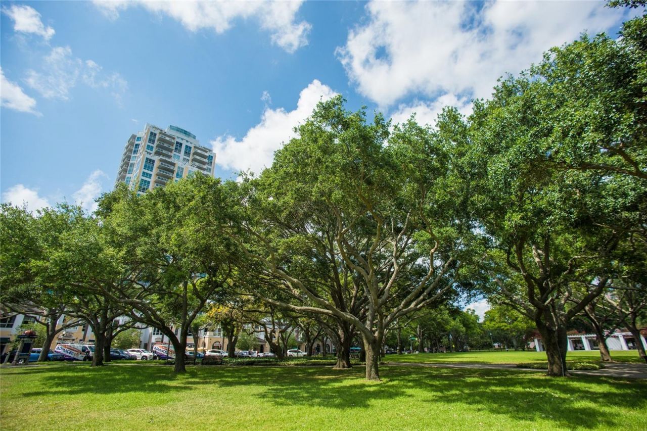 400 Beach Drive Ne, Unit 2605, Saint Petersburg, FL 33701 Photo