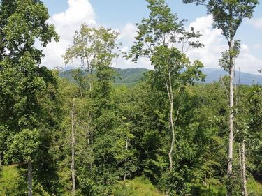 0 ADIAL RD , Faber, VA 22938