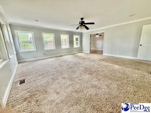 217 Loring Dr Photo 14
