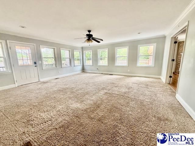 217 Loring Dr Photo 15