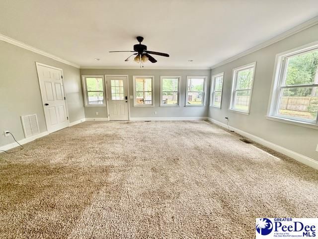 217 Loring Dr Photo 16