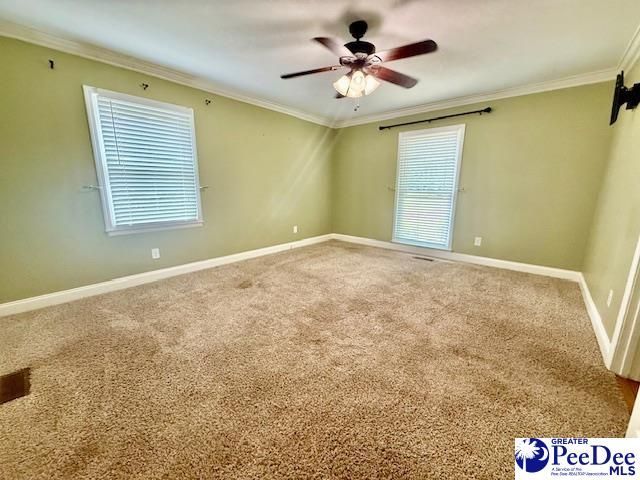 217 Loring Dr Photo 19