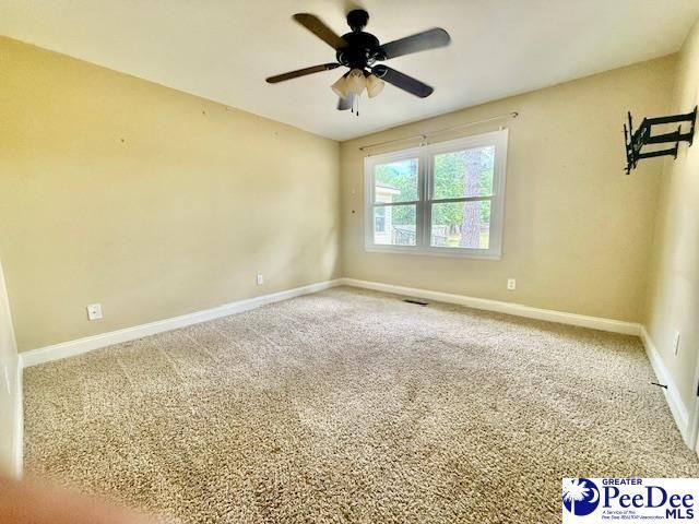 217 Loring Dr Photo 24