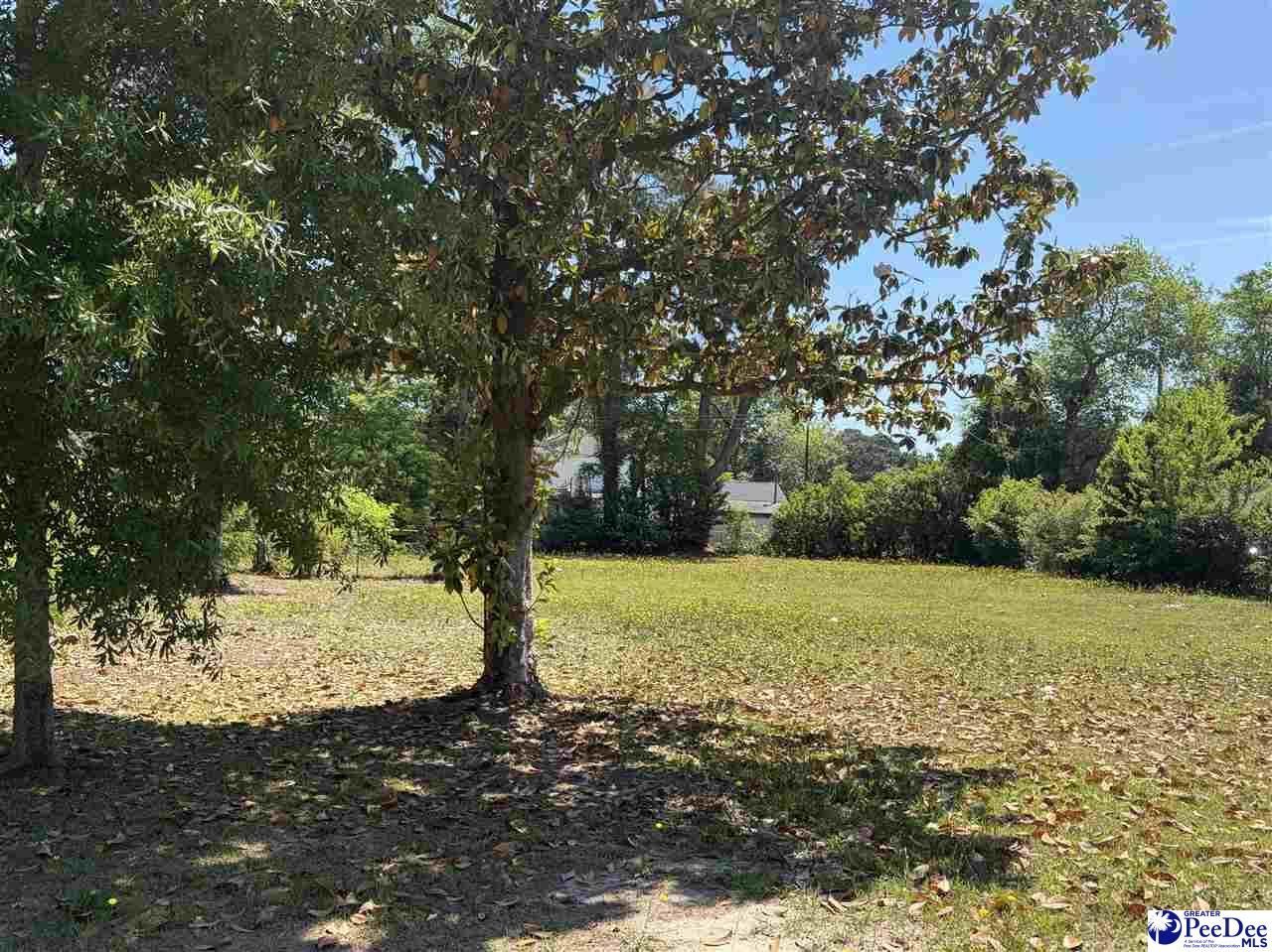 3516 Leigh Lane Photo 4