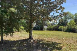 3516 Leigh Lane photo 4