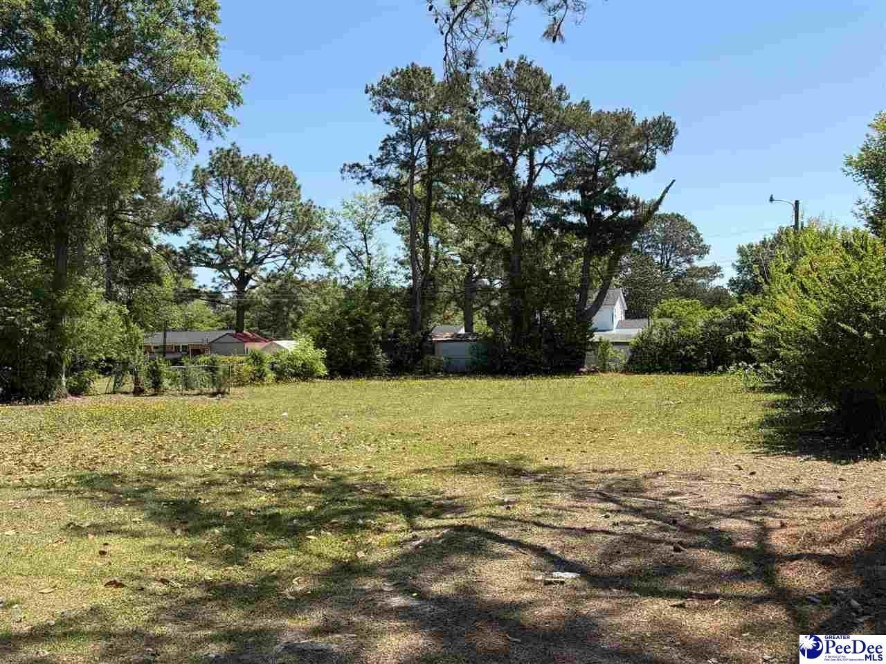3516 Leigh Lane Photo 6