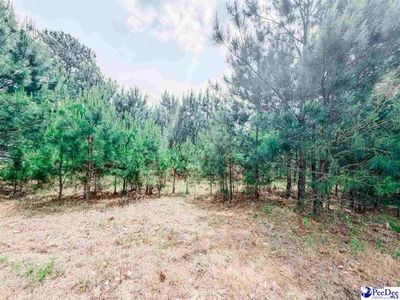 202 Meggs Island Road, Latta, SC 29565