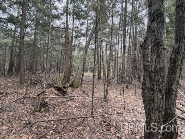 TBD K Road, Ford River Twp, MI 49807