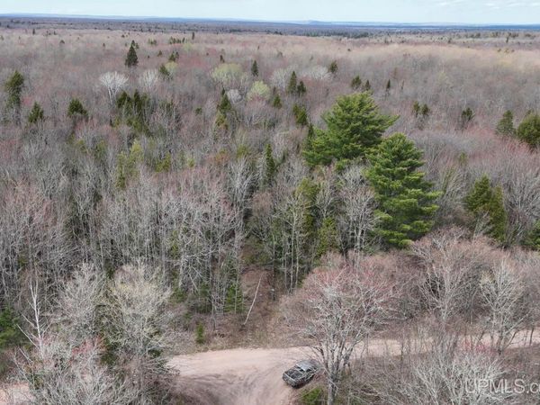9693 N Light Blue Road, Laird Twp, MI 49958
