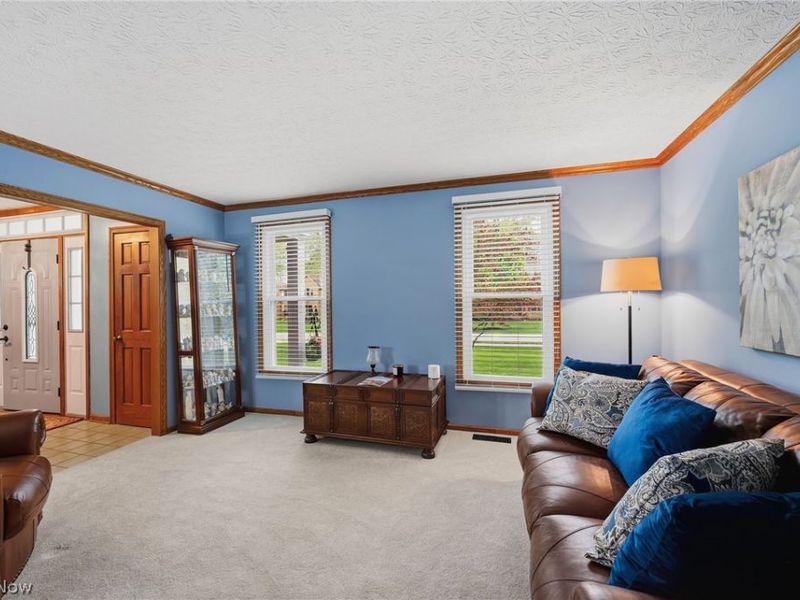 7336 Herrick Park Drive , Hudson, OH 44236 Photo 7