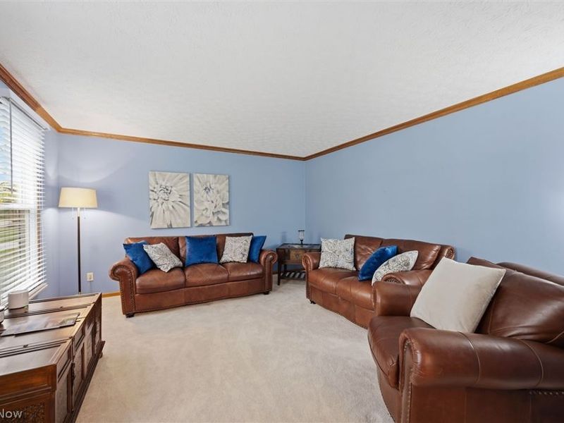 7336 Herrick Park Drive , Hudson, OH 44236 Photo 8