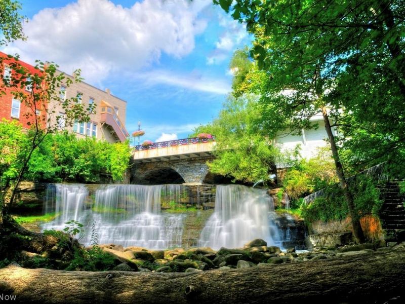 Chagrin Falls, OH 44022 Photo 46