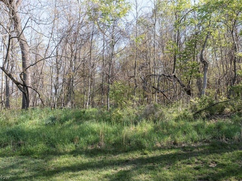 13662 Oak Brook Drive , Unit 3662, North Royalton, OH 44133 Photo 7