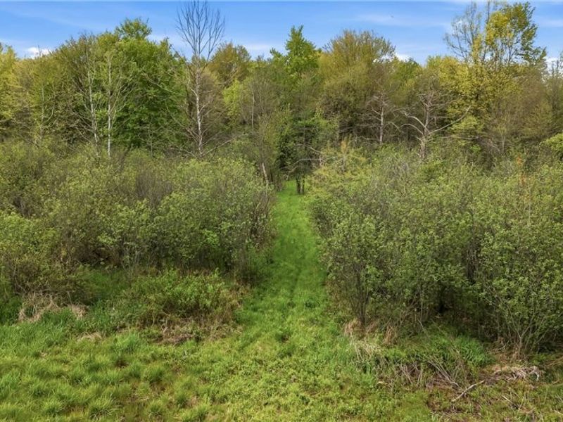1532 S Stateline Road , Masury, OH 44438 Photo 9