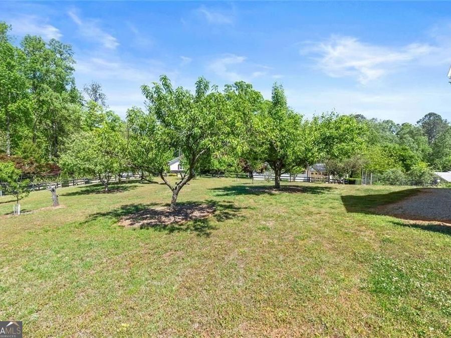 Property Image 61
