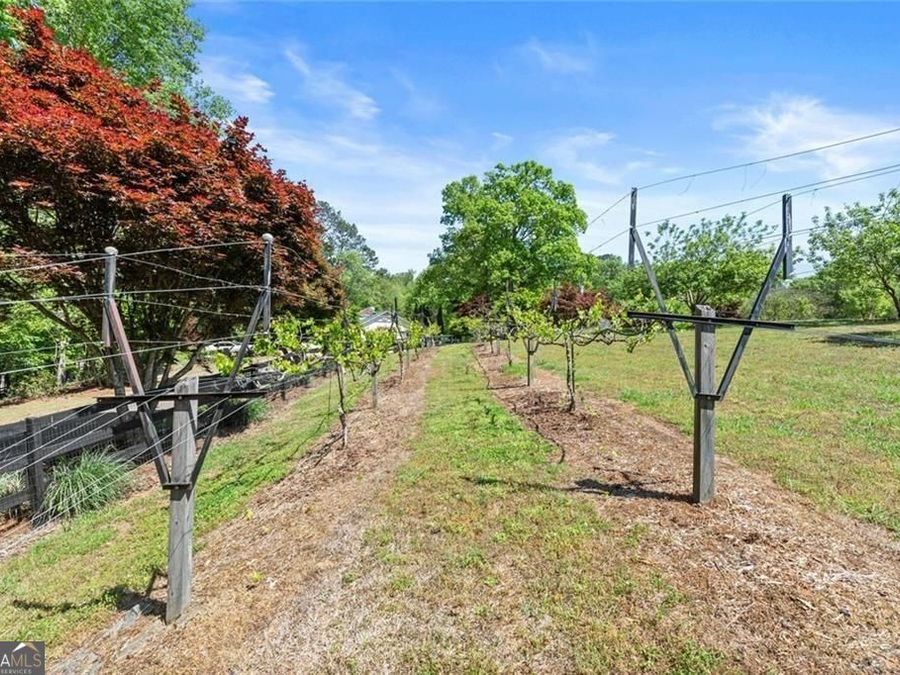 Property Image 63