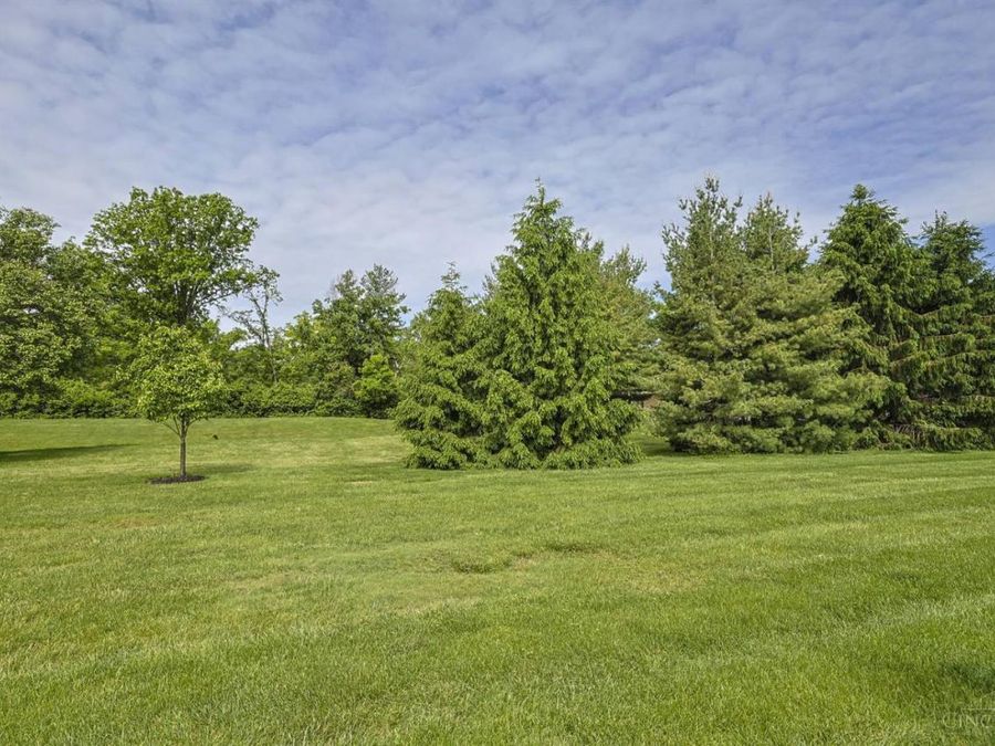 Property Image 64