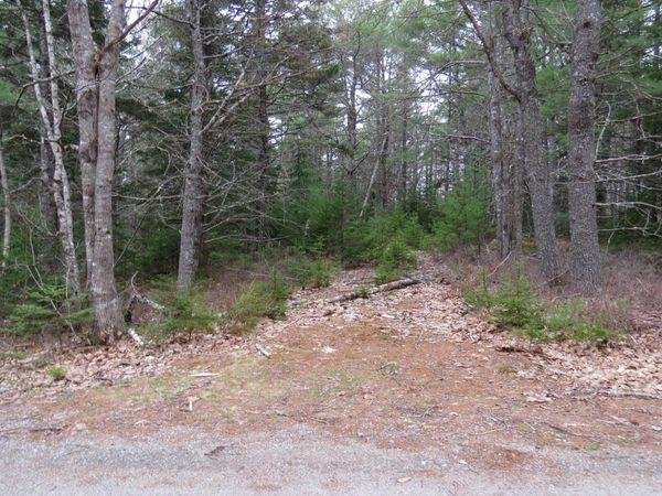 23 Porcupine Road , Sullivan, ME 04664