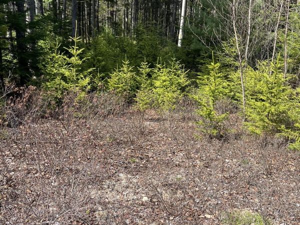 37 Missy Way , Steuben, ME 04680