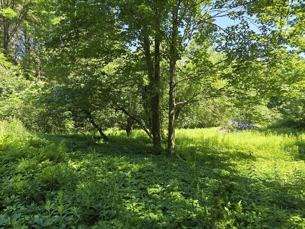 16 Wilson Road , Gorham, ME 04038