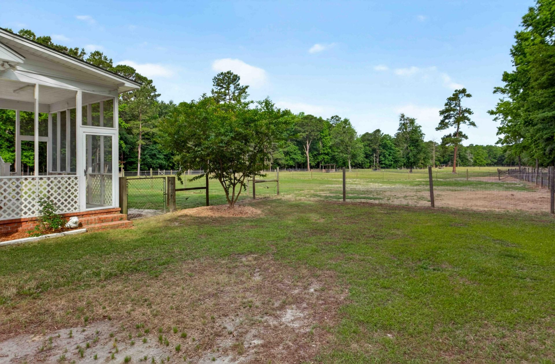 133 Rockin Horse Lane Photo 43