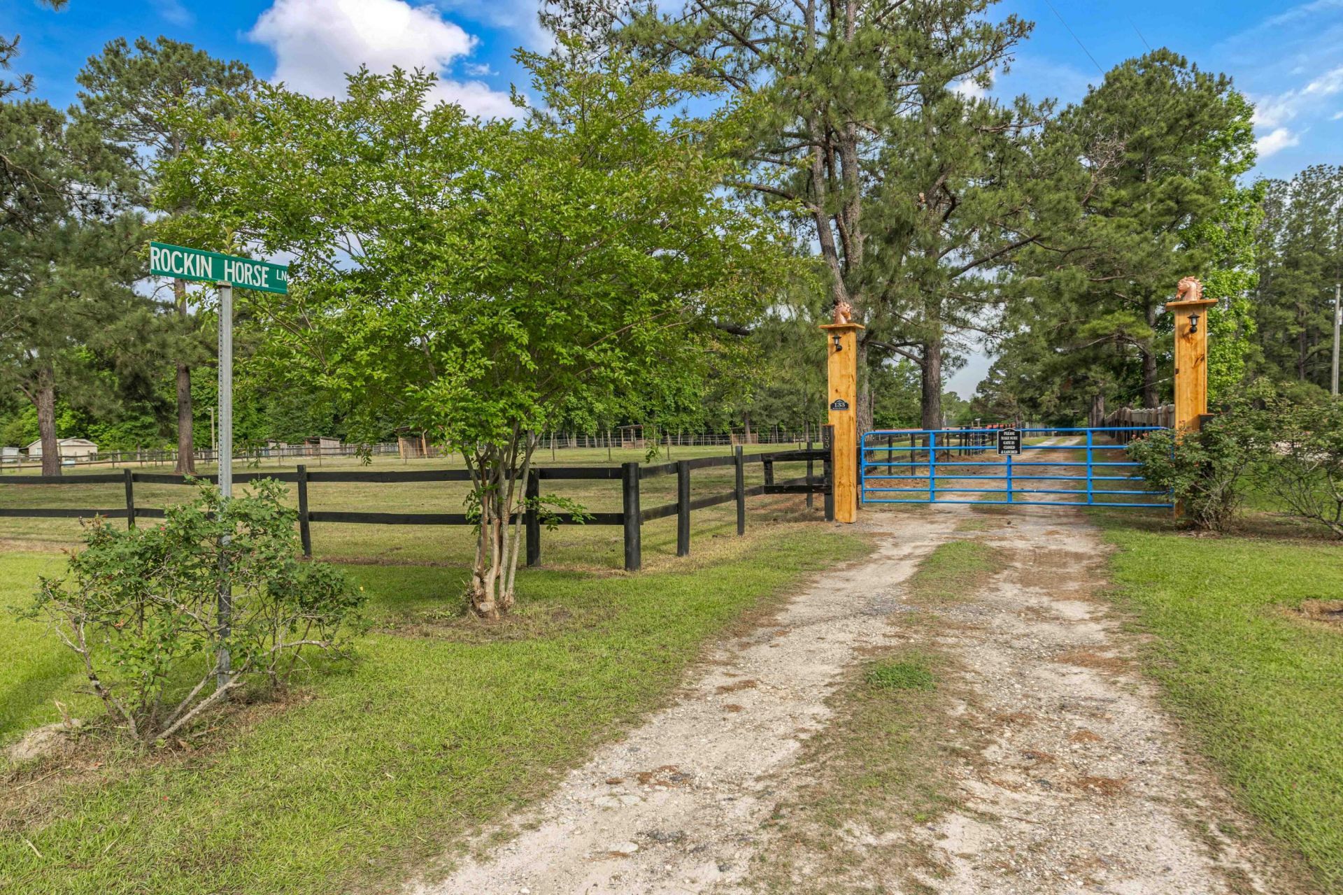 133 Rockin Horse Lane Photo 47