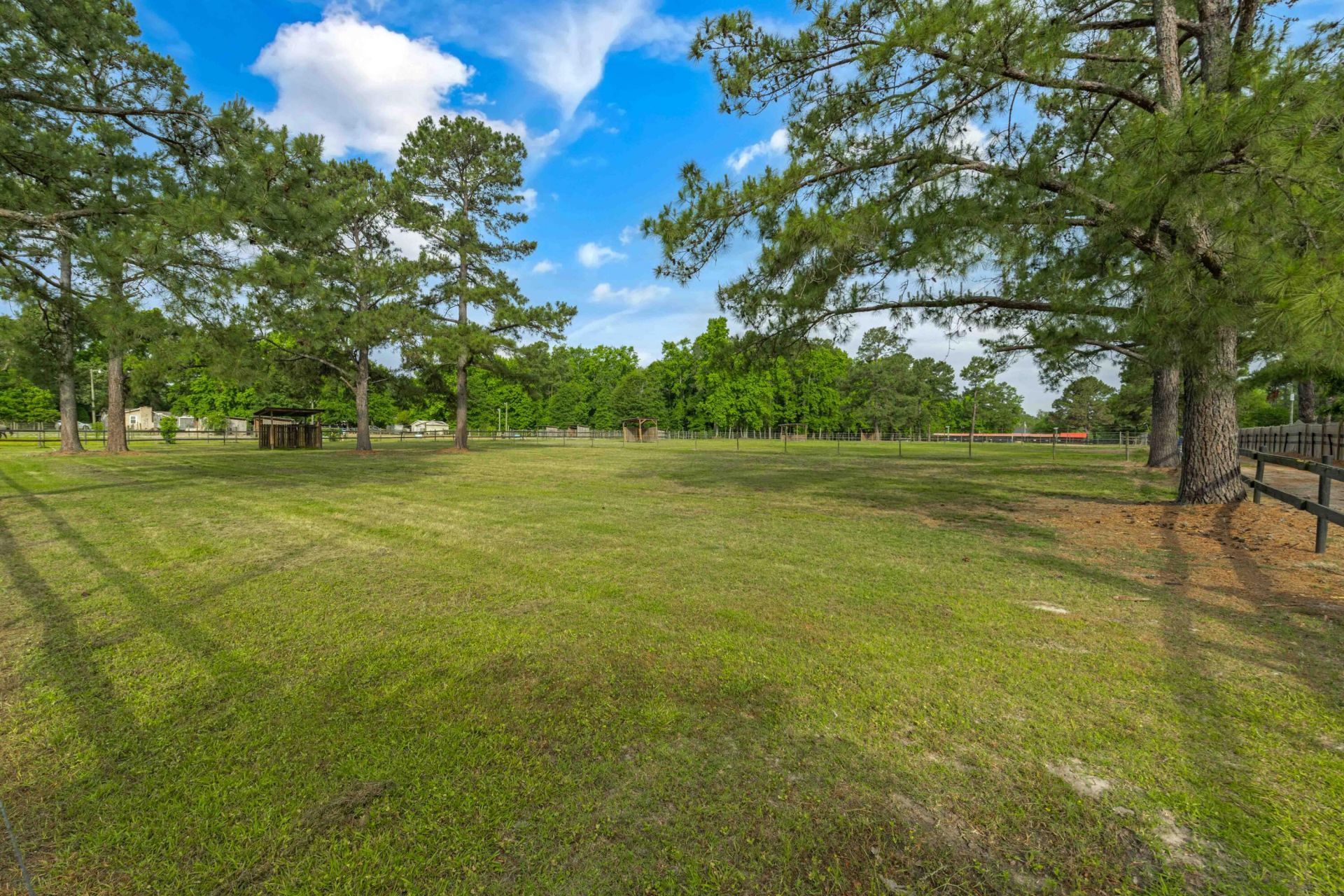 133 Rockin Horse Lane Photo 48