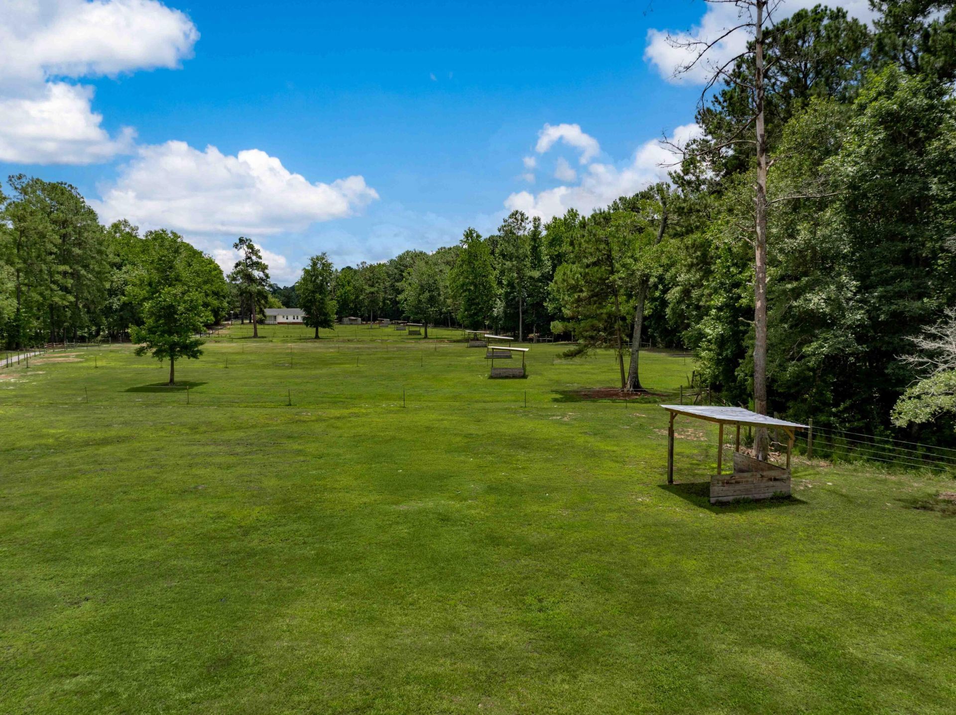 133 Rockin Horse Lane Photo 60