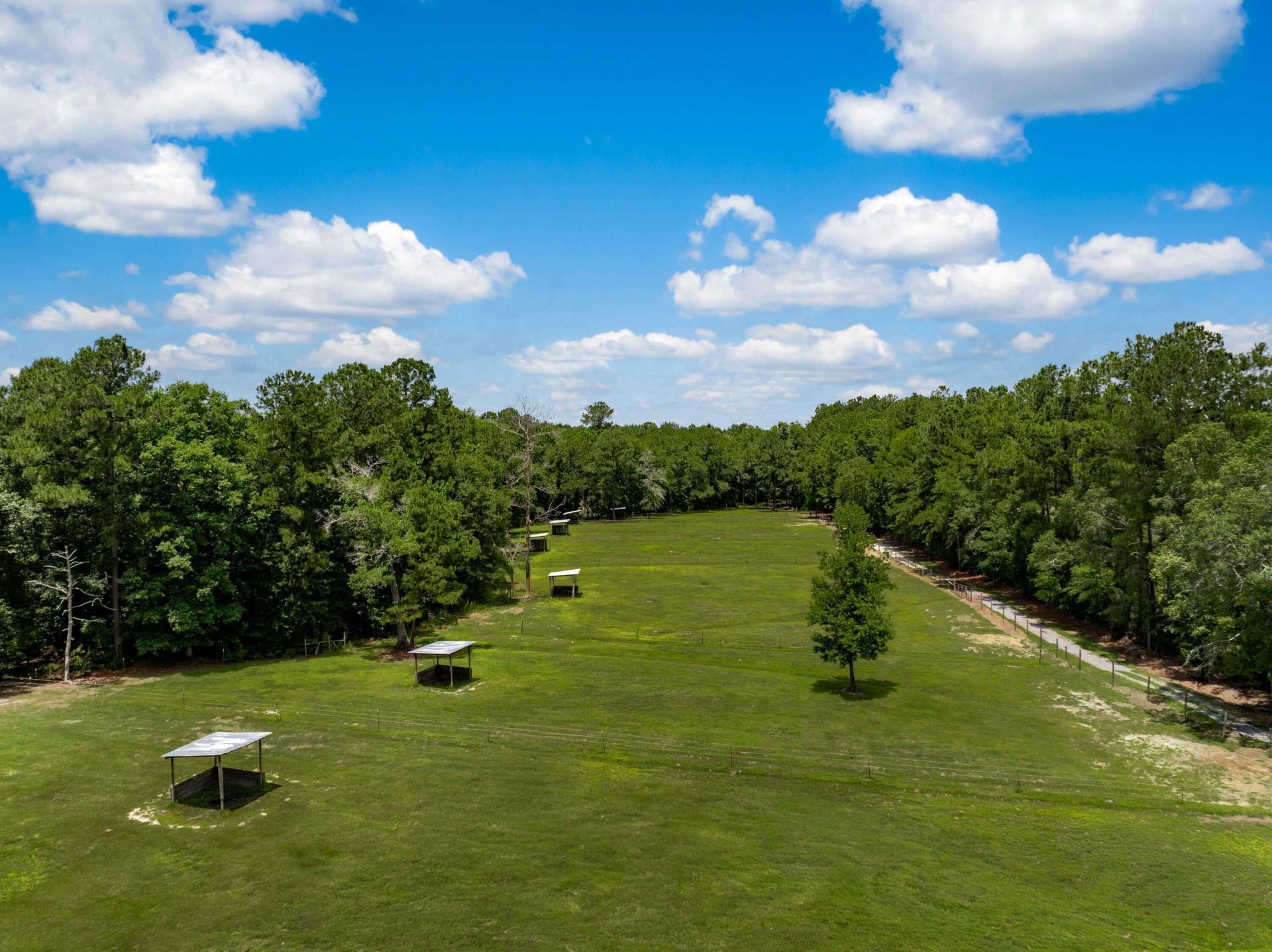 133 Rockin Horse Lane Photo 61