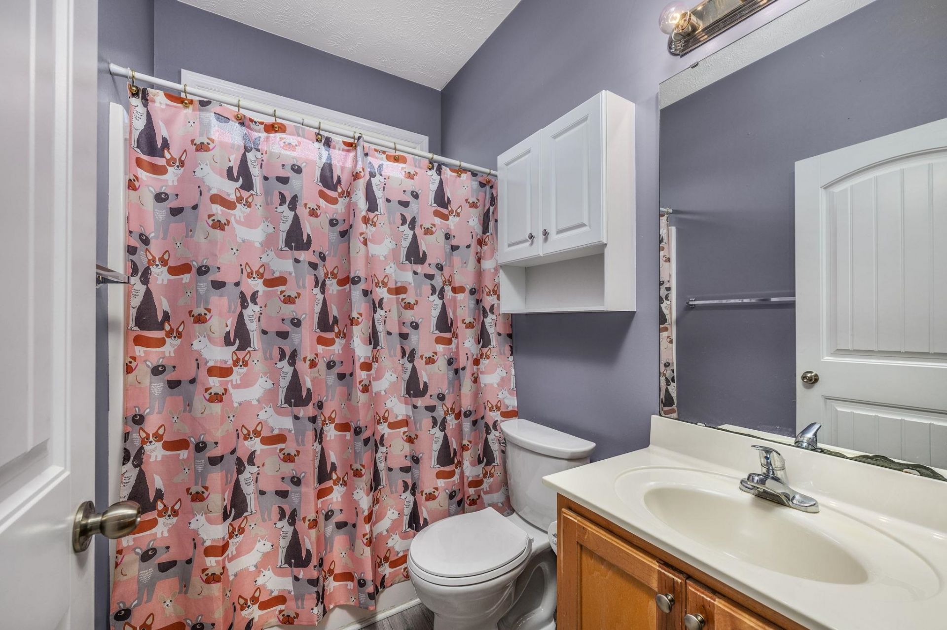728 American Beech St. Photo 23