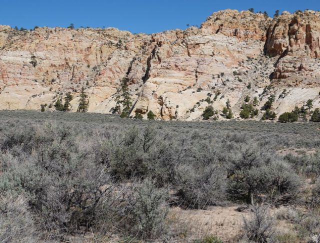 2811 E Fish Creek Cove Rd, Teasdale, UT 84773 Main Photo