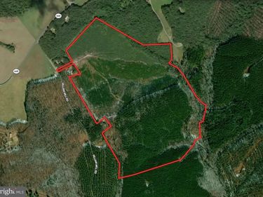 116.32 Acres GILLIAM MILL ROAD, DILLWYN, VA 23936