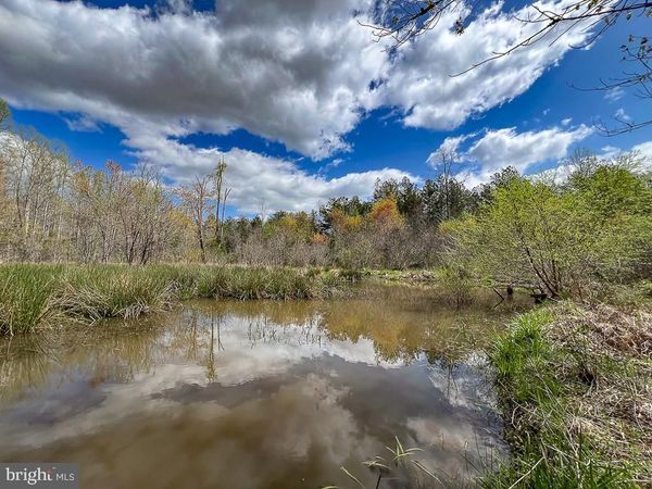 116.32 Acres GILLIAM MILL ROAD, DILLWYN, VA 23936