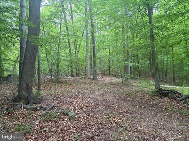 16921 BATESTOWN ROAD, DUMFRIES, VA 22025