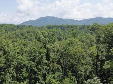 0 ADIAL RD, Unit 13, FABER, VA 22938