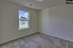 163 Savannah Woods Road photo 4