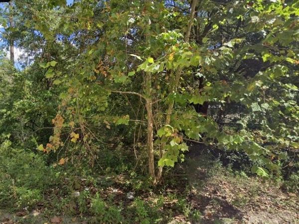 10059 Blue Waters Road , Tallahassee, FL 32305