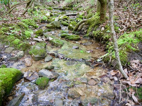 1.2AC Coyote Trail, Spencer, TN 38585