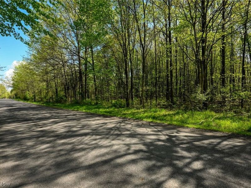 Oyster Road, North Benton, OH 44449 Photo 24