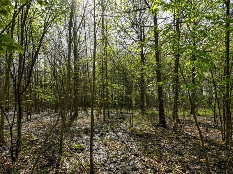 Oyster Road, North Benton, OH 44449 Photo 29