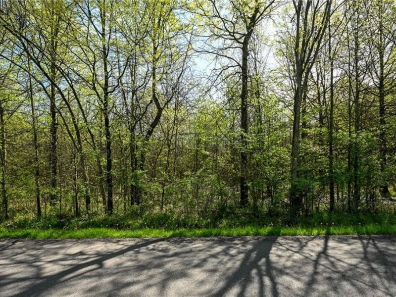 Oyster Road, North Benton, OH 44449 Photo 30
