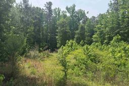 451 Kendall Drive  photo 4
