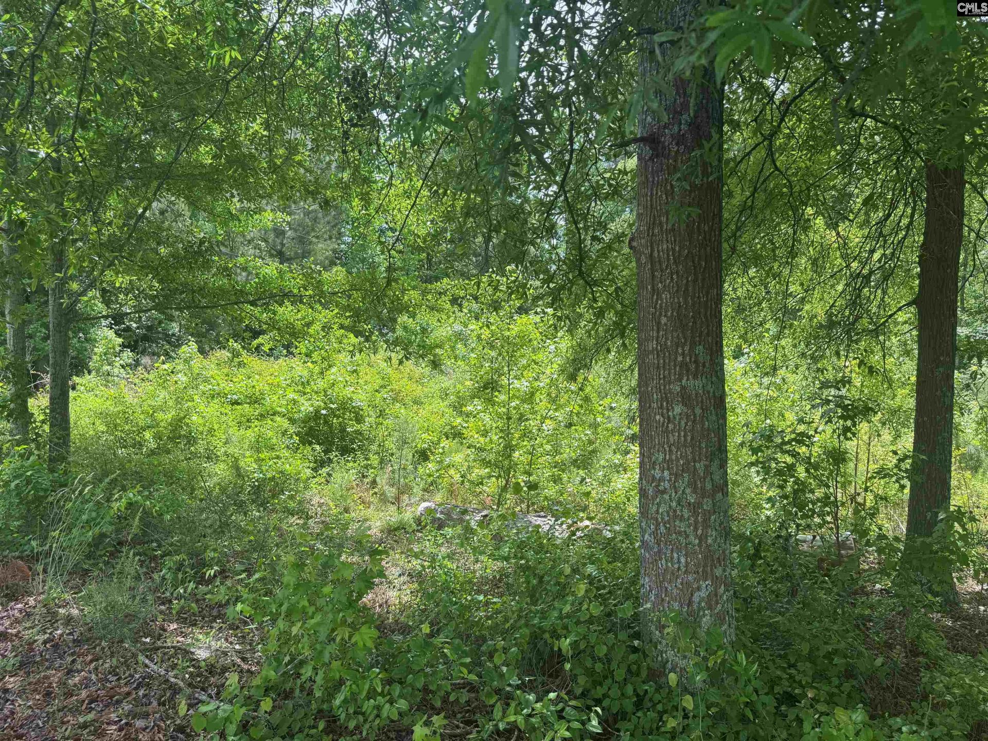 451 Kendall Drive  Photo 4