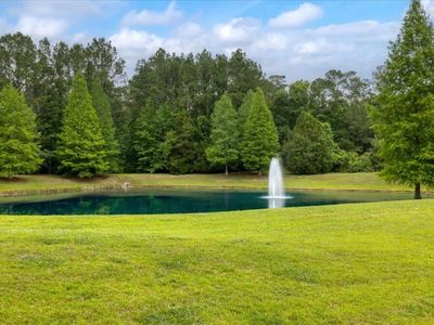 1205 Red Buckeye Court, Moncks Corner, SC 29461