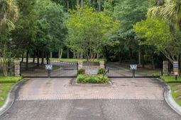 1205 Red Buckeye Court photo 4