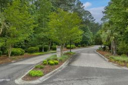 1205 Red Buckeye Court photo 4