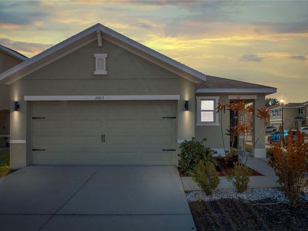 3503 DIAMOND LEAF COURT , VALRICO, FL 33594