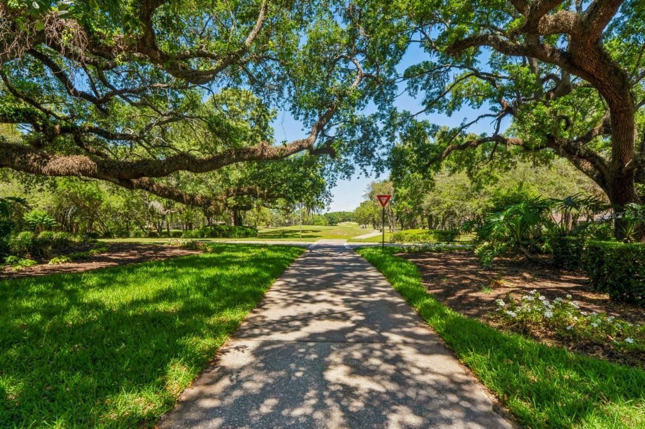 14468 Middle Fairway Drive , Spring Hill, FL 34609 Photo