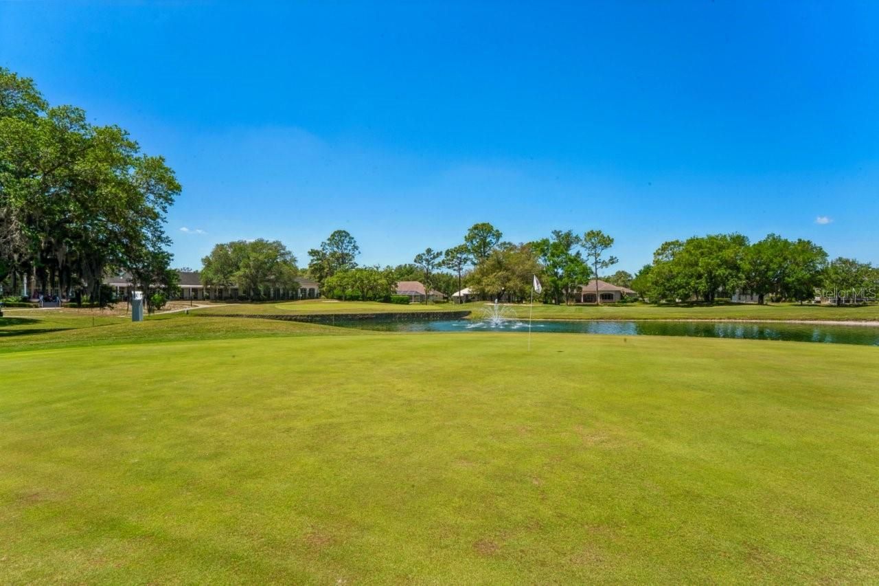 14468 Middle Fairway Drive , Spring Hill, FL 34609 Photo