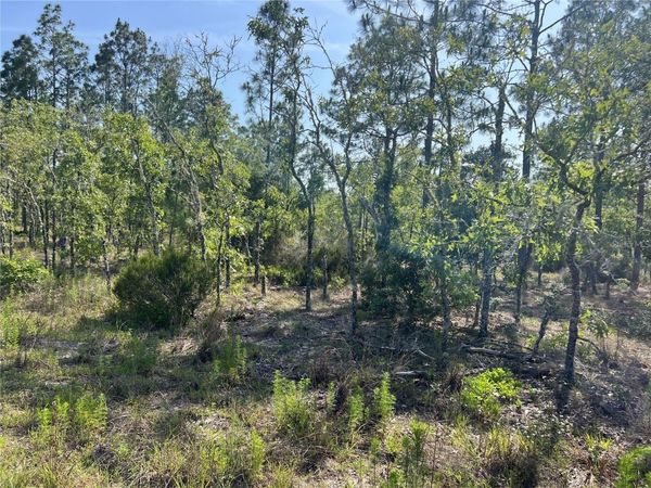 NE 151ST AVENUE , WILLISTON, FL 32696